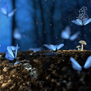 Heilsame Transformation