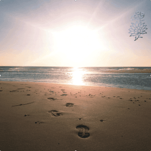 Die Schwingung der Seele ausdehnen