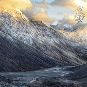 Meditation mit einem Avatar im Himalaya