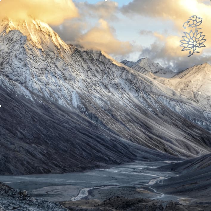 Meditation mit einem Avatar im Himalaya