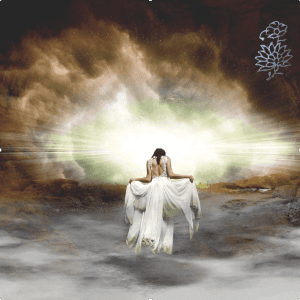 Im Licht der Wahrheit